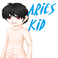 Arieskid's Avatar