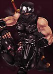NiNJa_GaiDeN1.jpg