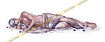 SiLK_-_30142_36895_k.jpg