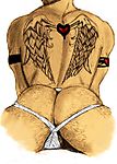 WiNGS.jpg