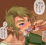 zelda-_link_bj.jpg