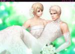 hetalia-_finland_sweden_married.jpg